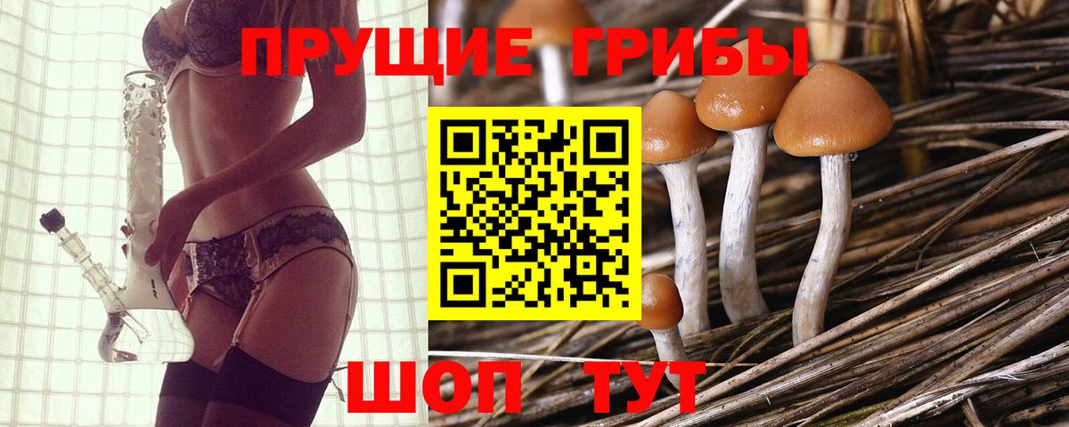 Псилоцибиновые грибы мухоморы Щёлково