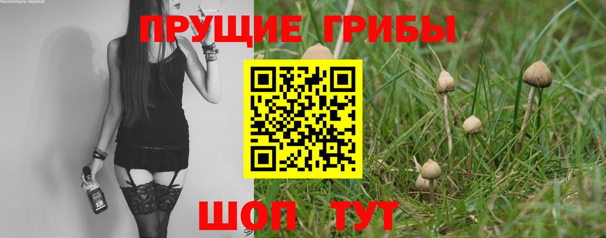 Псилоцибиновые грибы мицелий  Псилоцибиновые грибы прущие грибы  Щёлково  Вход с VPN 
